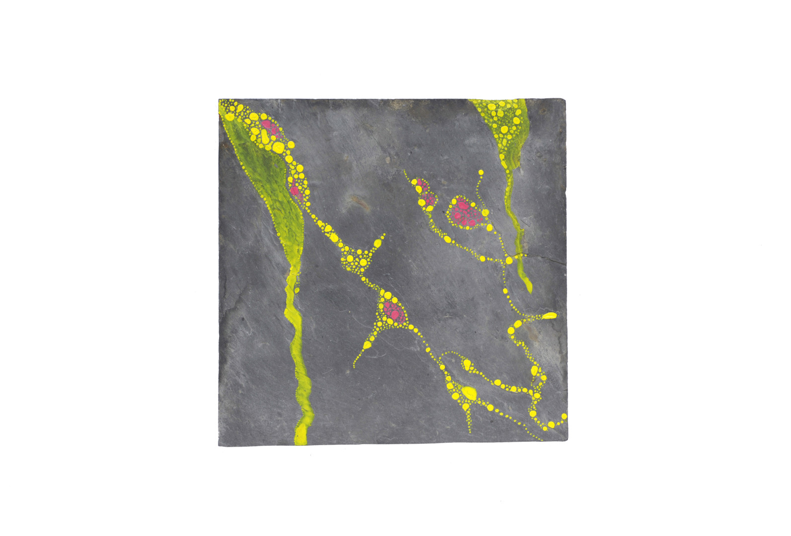 Formes végétales sous-marines souples de couleur jaune acide et rose vif peintes sur une ardoise carrée grise